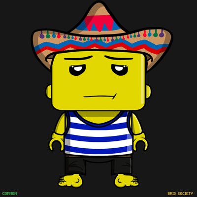 MiniBrix #5009