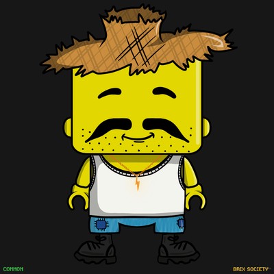 MiniBrix #5016