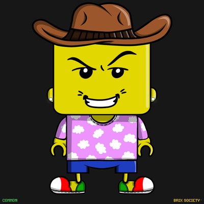 MiniBrix #5025