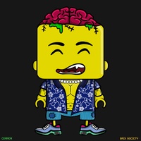 MiniBrix #5067