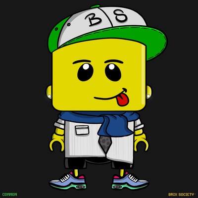 MiniBrix #5088