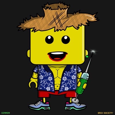MiniBrix #5171