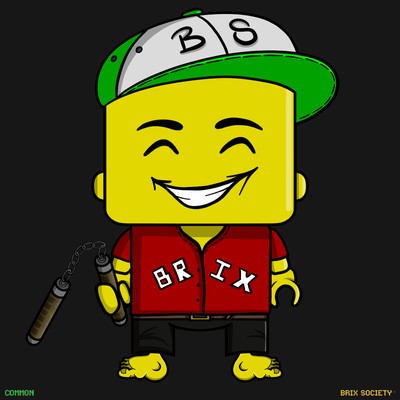 MiniBrix #5270