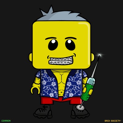 MiniBrix #5773