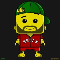 MiniBrix #5775