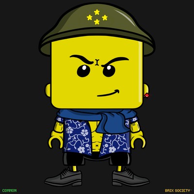 MiniBrix #5802
