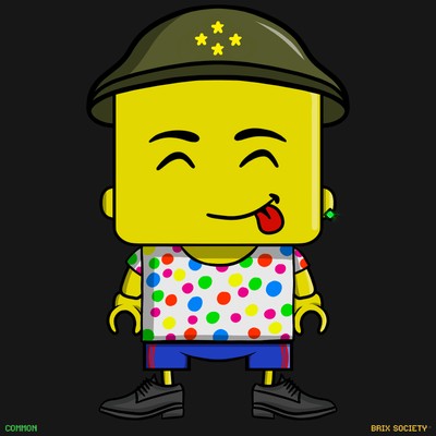 MiniBrix #5877
