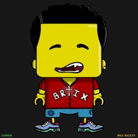 MiniBrix #5894