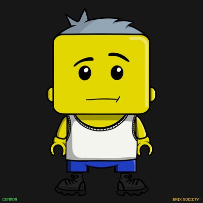 MiniBrix #5898