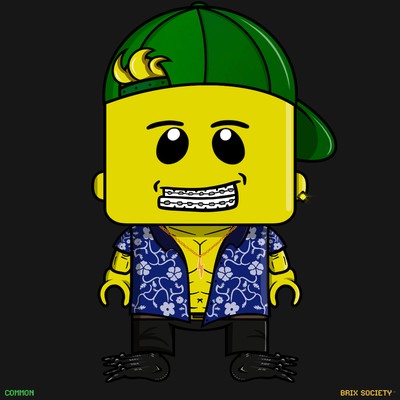 MiniBrix #6063