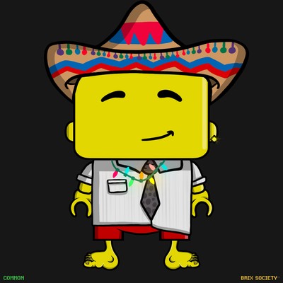 MiniBrix #6248