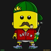 MiniBrix #6295