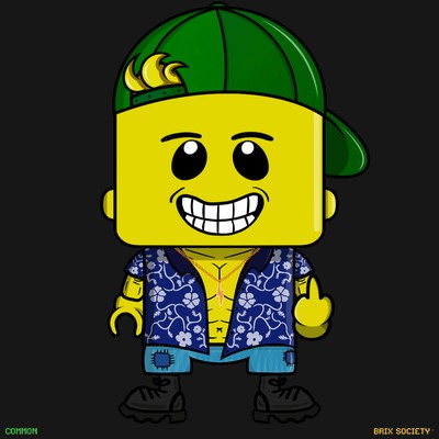 MiniBrix #6304