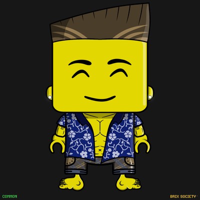 MiniBrix #6313