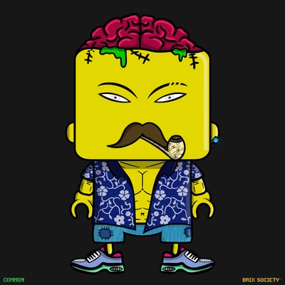 MiniBrix #6665