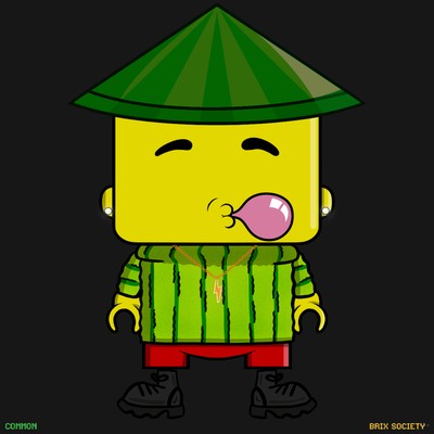 MiniBrix #6697