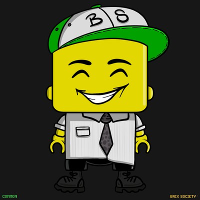 MiniBrix #6711