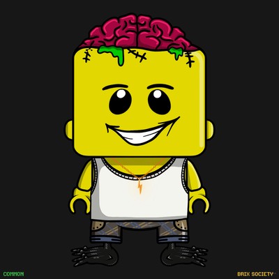 MiniBrix #6714