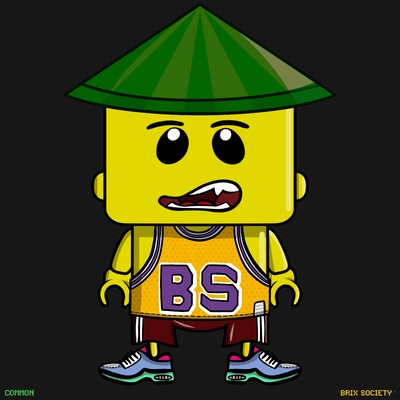 MiniBrix #6901