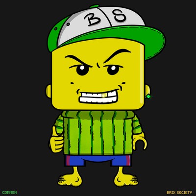 MiniBrix #6916