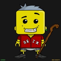 MiniBrix #6989