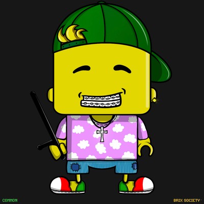 MiniBrix #7074