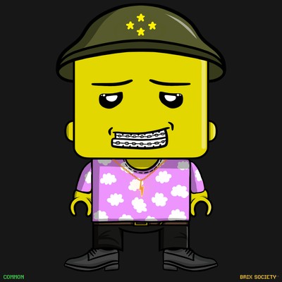 MiniBrix #7338