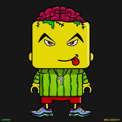 MiniBrix #7555