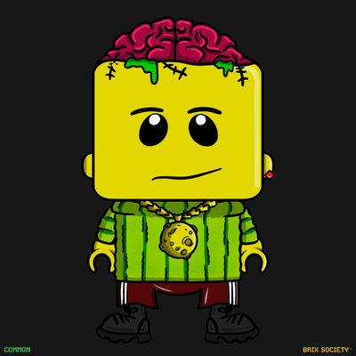 MiniBrix #7898