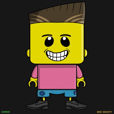 MiniBrix #8192