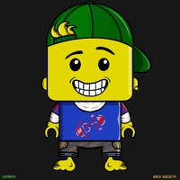 MiniBrix #8204