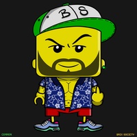 MiniBrix #8564