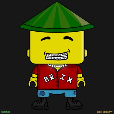 MiniBrix #8764