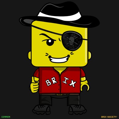 MiniBrix #8798