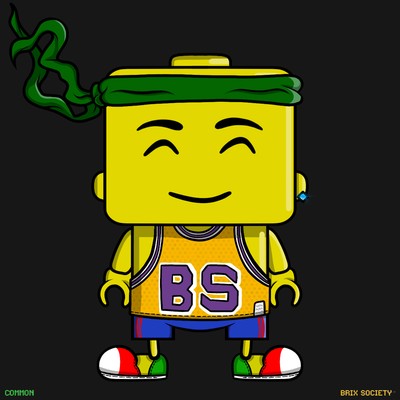 MiniBrix #8862