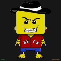 MiniBrix #8909