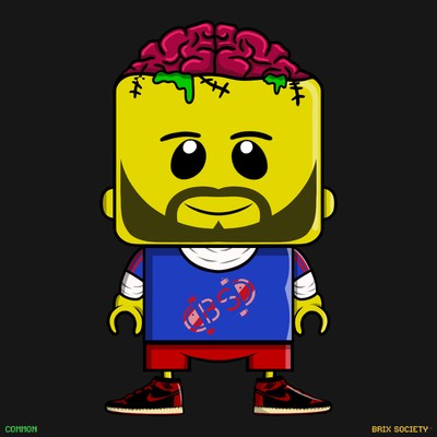 MiniBrix #8989