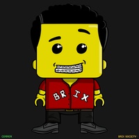 MiniBrix #8998