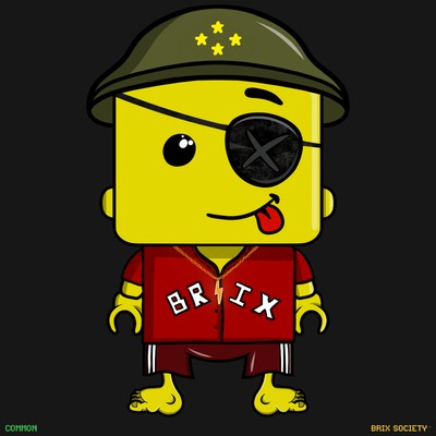 MiniBrix #9036