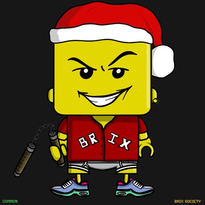 MiniBrix #9048