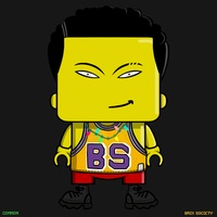 MiniBrix #9050