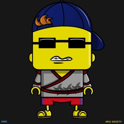 MiniBrix #9055
