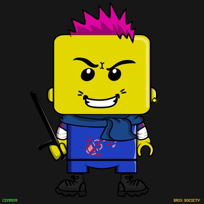 MiniBrix #9056