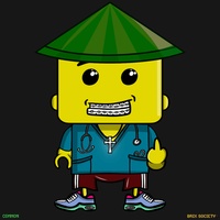 MiniBrix #9071