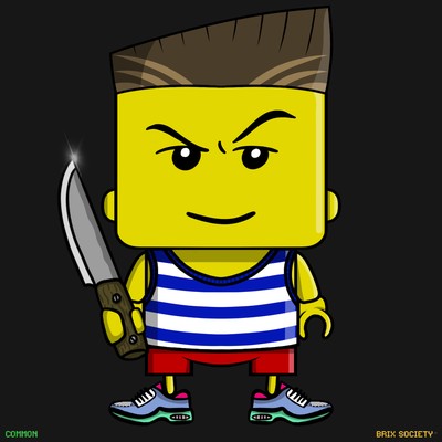 MiniBrix #9097