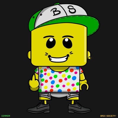 MiniBrix #9165
