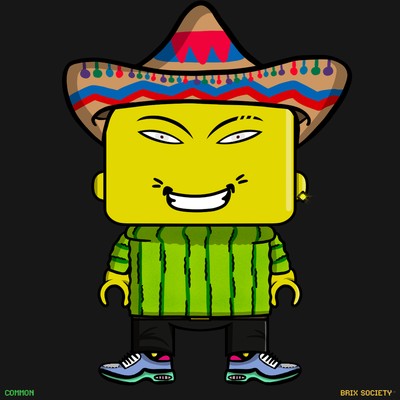 MiniBrix #9207
