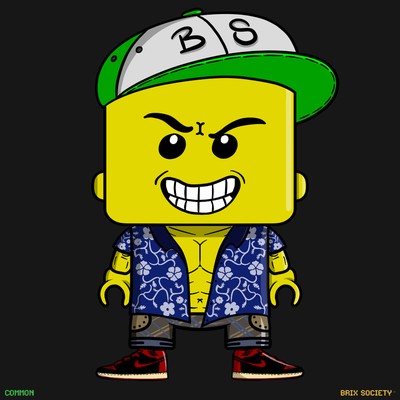 MiniBrix #9209