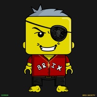 MiniBrix #9271