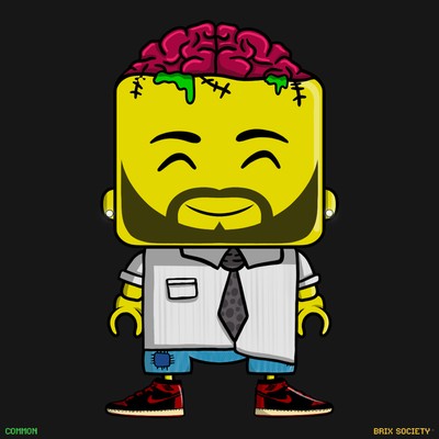 MiniBrix #9412